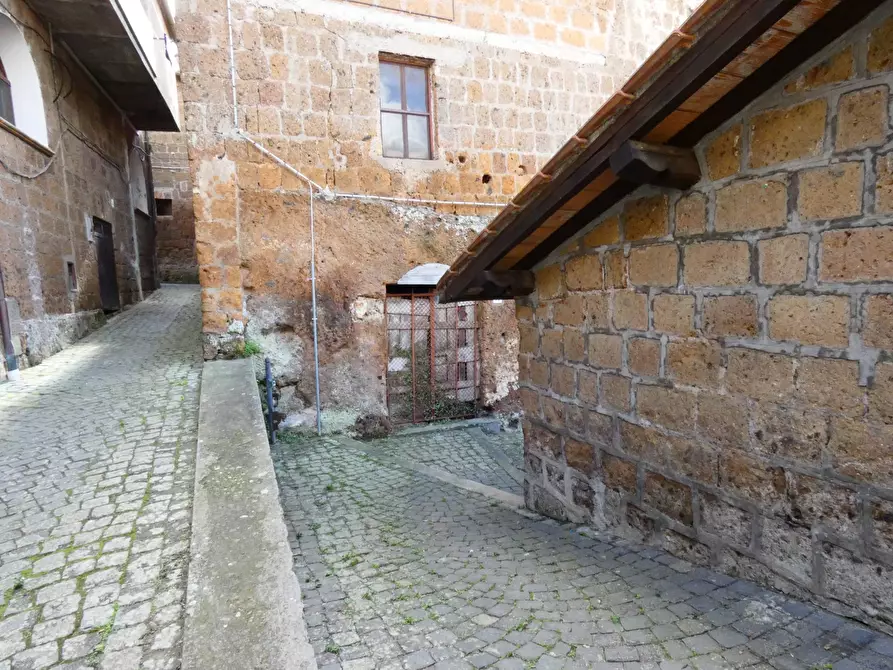 Immagine 45 di Casa indipendente in vendita  in VIA DI PORTA CANALE 25 a Arlena Di Castro