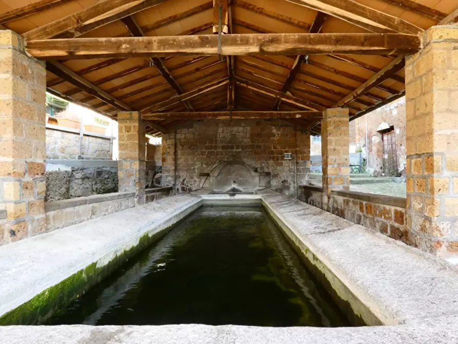 Immagine 47 di Casa indipendente in vendita  in VIA DI PORTA CANALE 25 a Arlena Di Castro