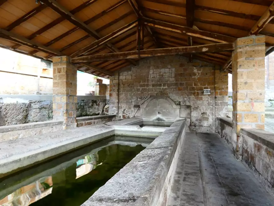 Immagine 48 di Casa indipendente in vendita  in VIA DI PORTA CANALE 25 a Arlena Di Castro