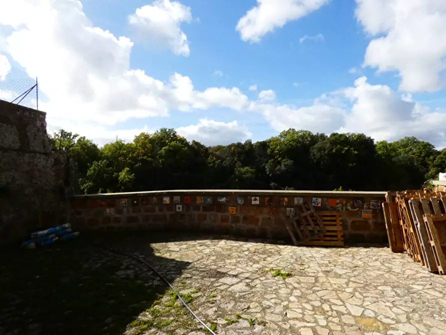 Immagine 50 di Casa indipendente in vendita  in VIA DI PORTA CANALE 25 a Arlena Di Castro