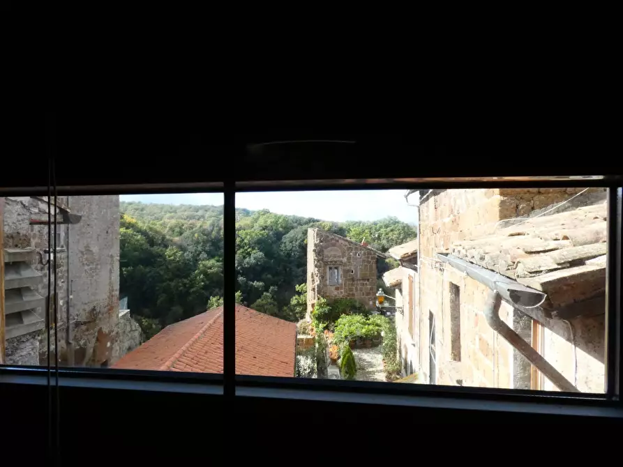 Immagine 37 di Casa indipendente in vendita  in VIA DI PORTA CANALE 25 a Arlena Di Castro