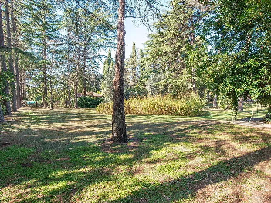Immagine 48 di Villa in vendita  in Via di Tor Carbone 65 a Roma