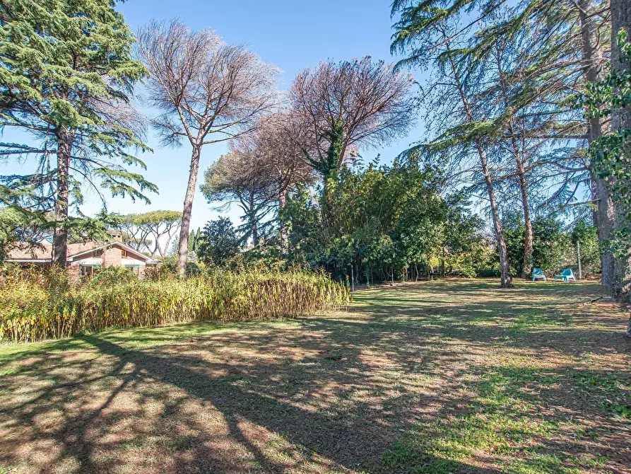 Immagine 49 di Villa in vendita  in Via di Tor Carbone 65 a Roma