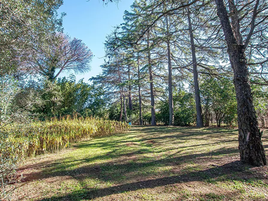 Immagine 50 di Villa in vendita  in Via di Tor Carbone 65 a Roma