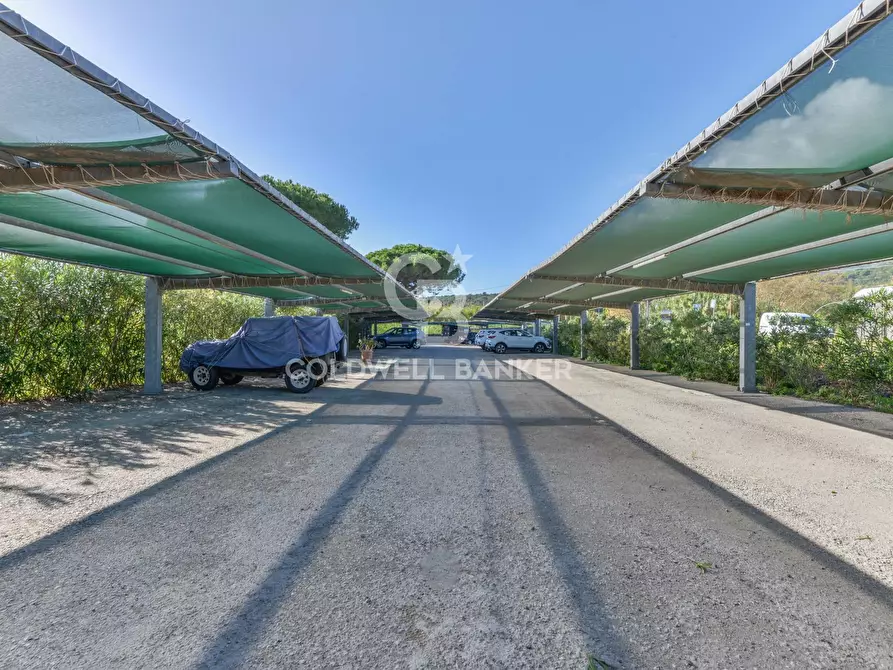 Immagine 26 di Appartamento in vendita  in Via Giovanni XXIII a Campo Nell'elba