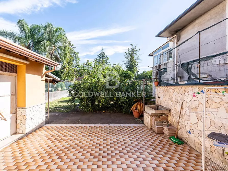 Immagine 6 di Appartamento in vendita  in via regina elena a Piedimonte Etneo