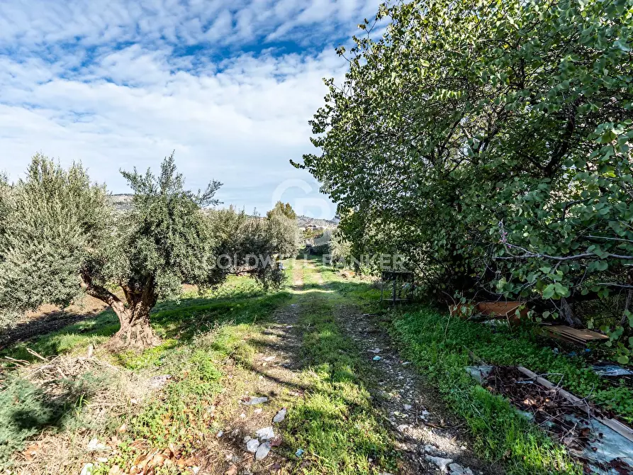 Immagine 3 di Terreno agricolo in vendita  in VIA LEONARDO DA VINCI a Palermo