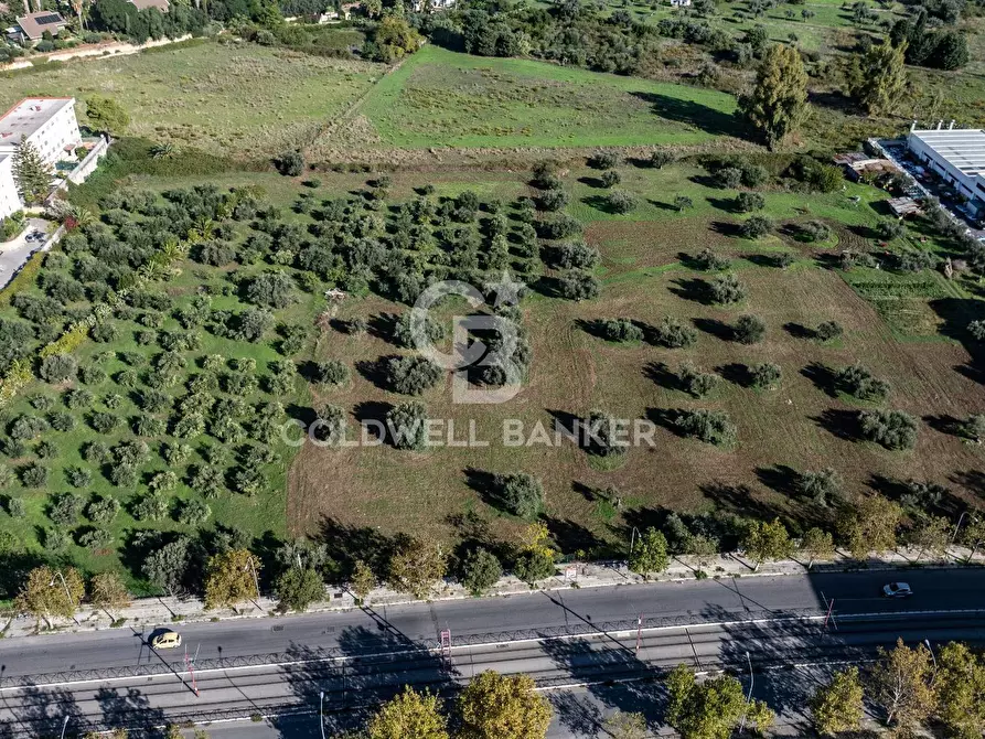Immagine 5 di Terreno agricolo in vendita  in VIA LEONARDO DA VINCI a Palermo