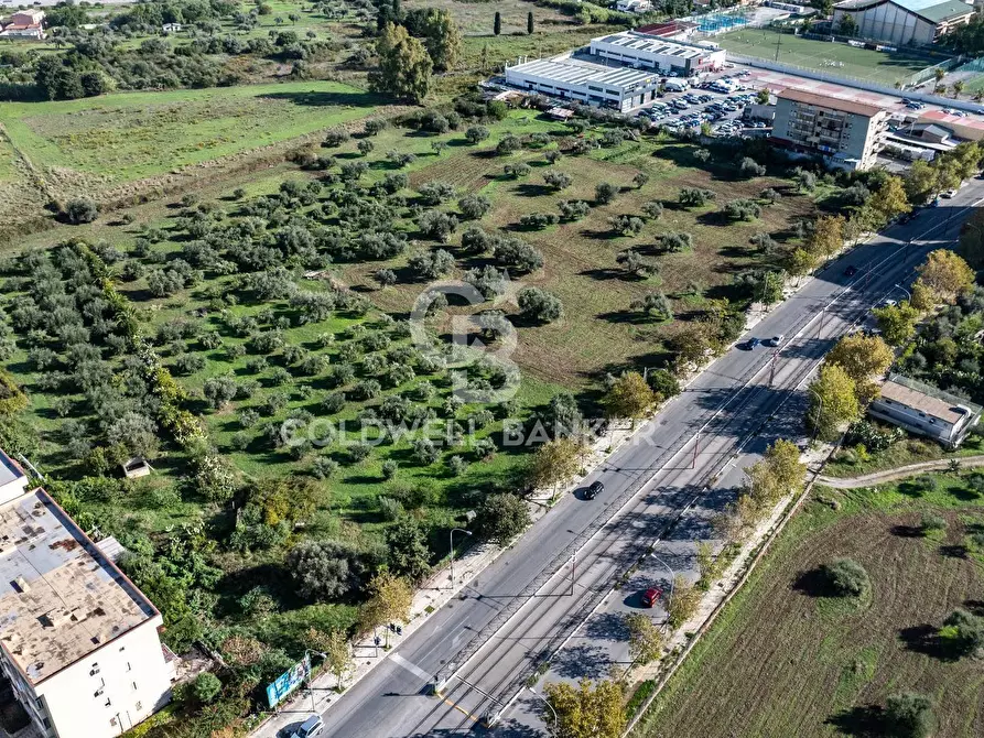 Immagine 6 di Terreno agricolo in vendita  in VIA LEONARDO DA VINCI a Palermo