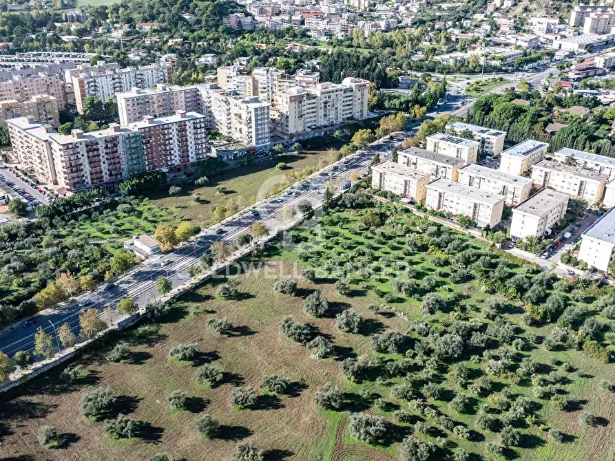 Immagine 8 di Terreno agricolo in vendita  in VIA LEONARDO DA VINCI a Palermo