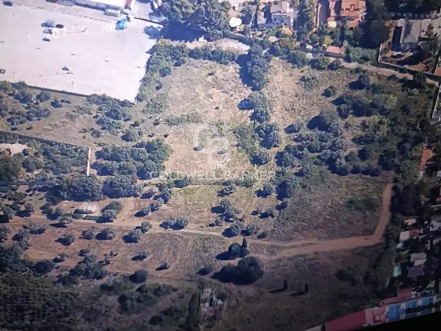 Immagine 6 di Terreno agricolo in vendita  in VIALE MICHELALENGELO a Palermo