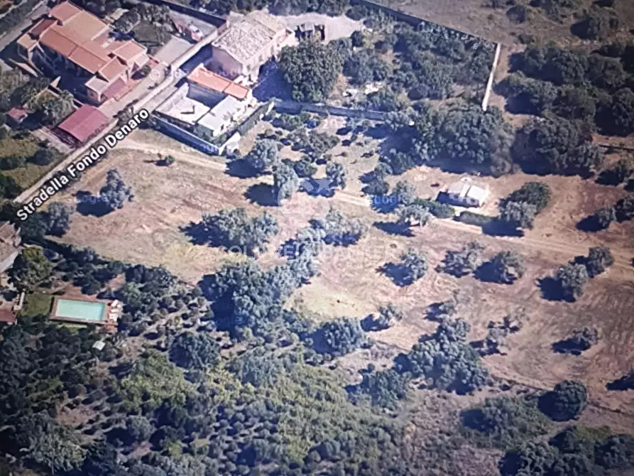 Immagine 11 di Terreno agricolo in vendita  in VIALE MICHELALENGELO a Palermo