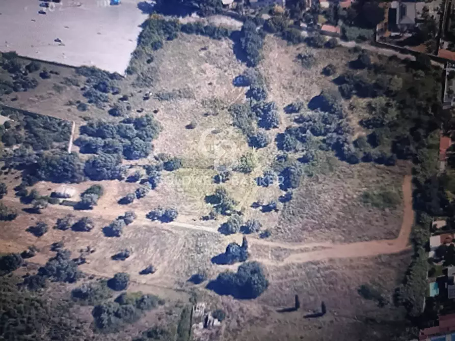 Immagine 12 di Terreno agricolo in vendita  in VIALE MICHELALENGELO a Palermo