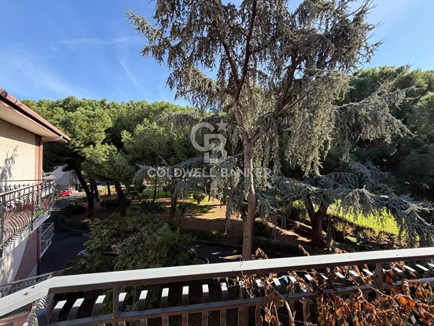 Immagine 18 di Appartamento in vendita  in Viale Lorenzo Bolano 45 a Catania