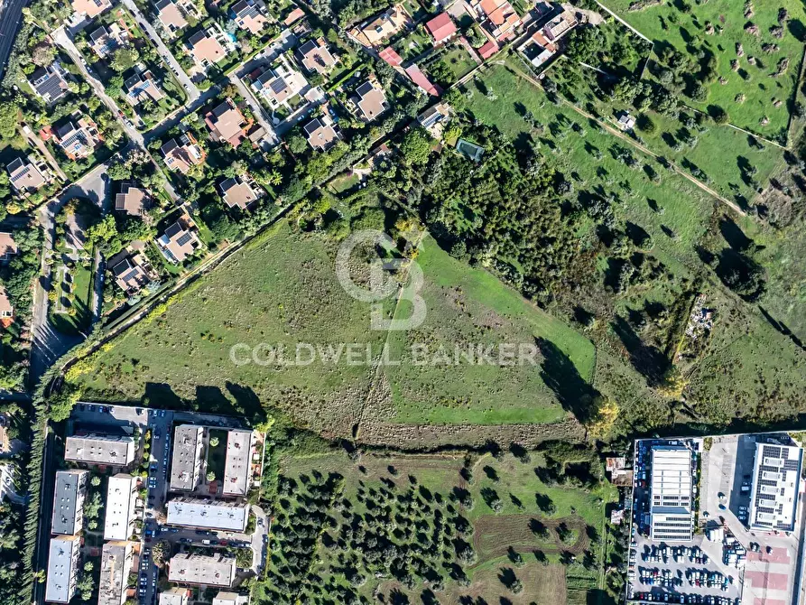Immagine 3 di Terreno agricolo in vendita  in viale michelangelo a Palermo