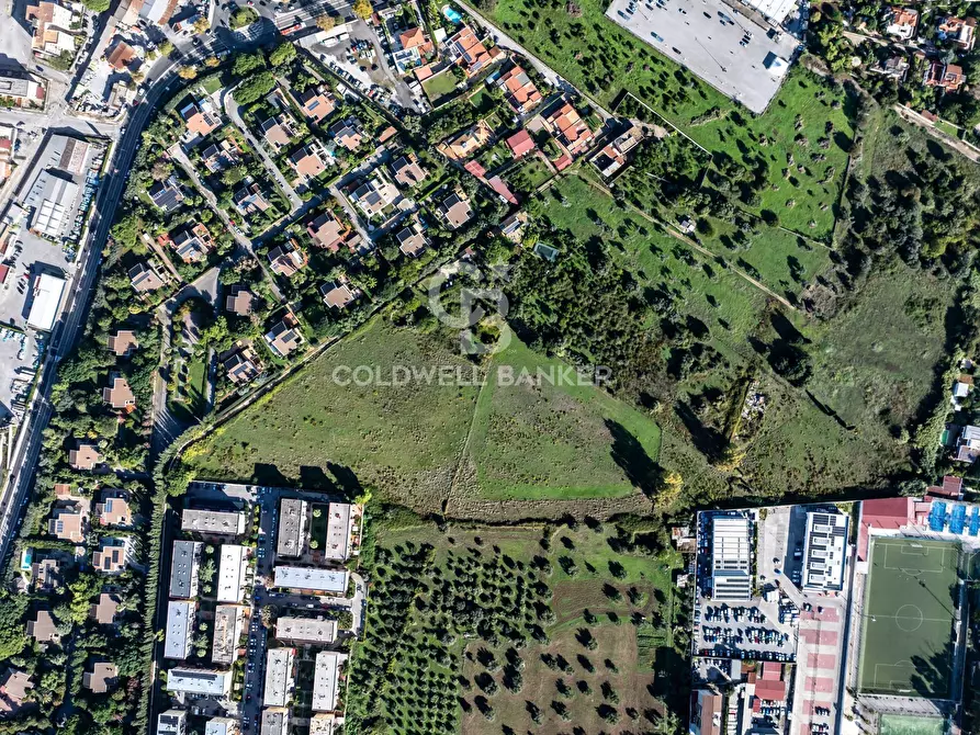 Immagine 4 di Terreno agricolo in vendita  in viale michelangelo a Palermo