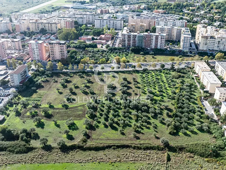 Immagine 7 di Terreno agricolo in vendita  in viale michelangelo a Palermo