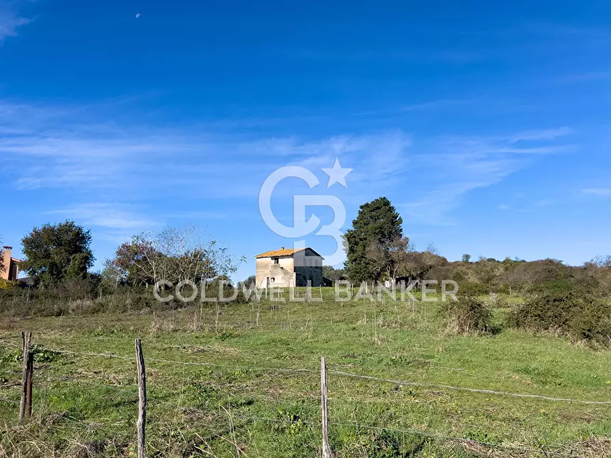 Immagine 3 di Rustico / casale in vendita  in Via delle Pietrische 6 a Bracciano