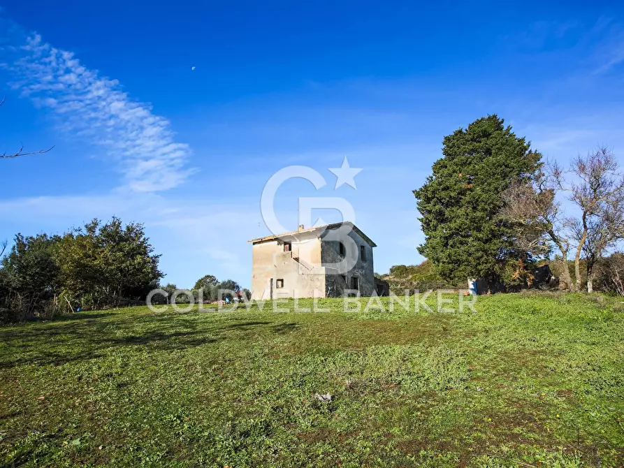 Immagine 4 di Rustico / casale in vendita  in Via delle Pietrische 6 a Bracciano