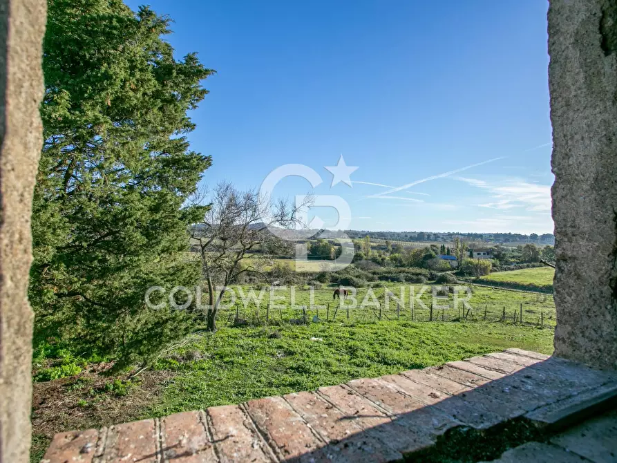 Immagine 23 di Rustico / casale in vendita  in Via delle Pietrische 6 a Bracciano