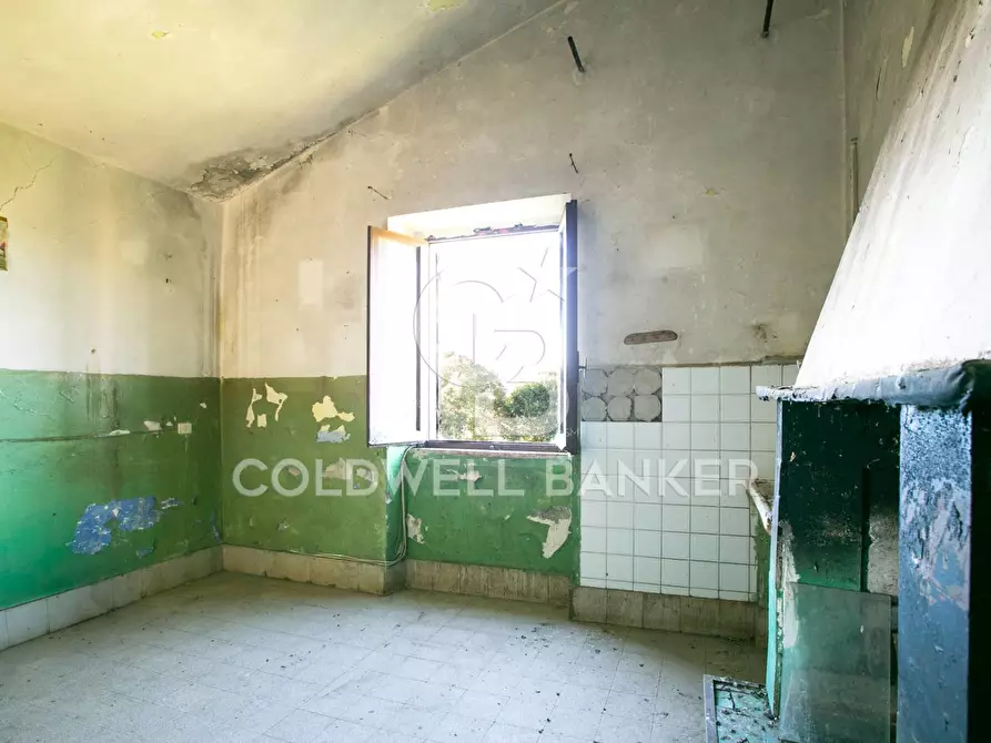 Immagine 31 di Rustico / casale in vendita  in Via delle Pietrische 6 a Bracciano