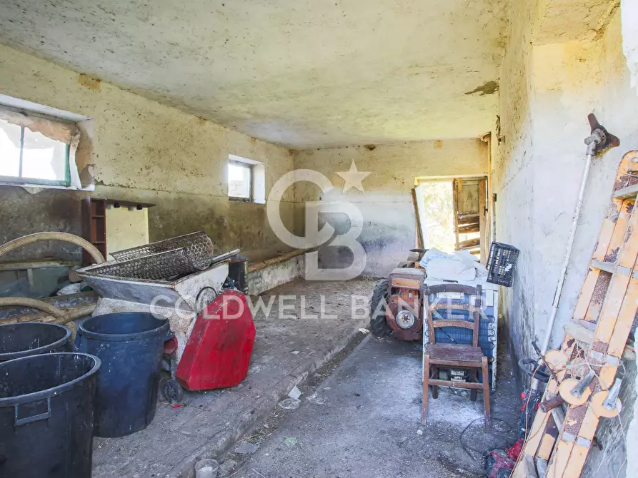 Immagine 41 di Rustico / casale in vendita  in Via delle Pietrische 6 a Bracciano