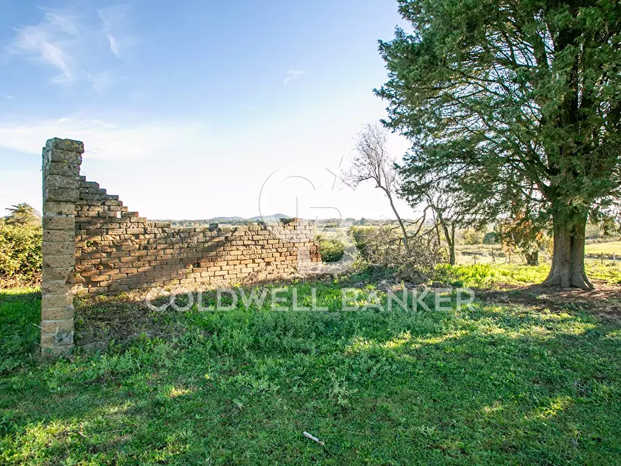 Immagine 44 di Rustico / casale in vendita  in Via delle Pietrische 6 a Bracciano