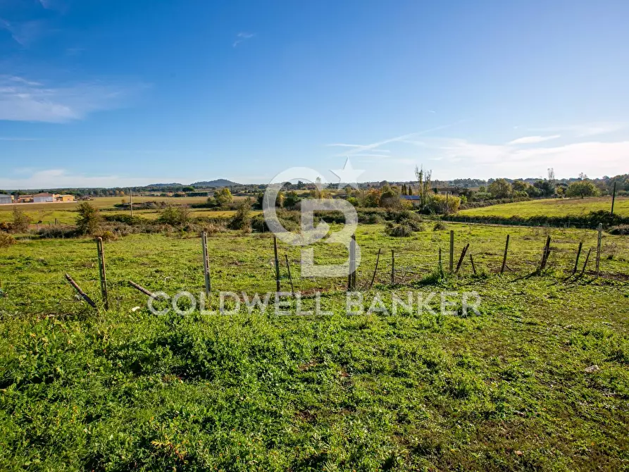 Immagine 49 di Rustico / casale in vendita  in Via delle Pietrische 6 a Bracciano