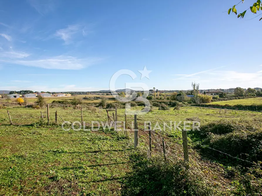 Immagine 50 di Rustico / casale in vendita  in Via delle Pietrische 6 a Bracciano