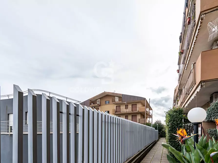 Immagine 4 di Appartamento in vendita  in via monsignor cannavo' 14 a Piedimonte Etneo