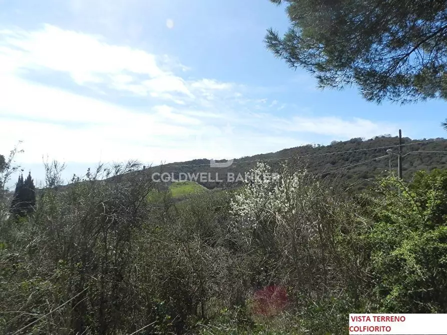 Immagine 4 di Terreno agricolo in vendita  in Via Colfiorito a Santa Marinella