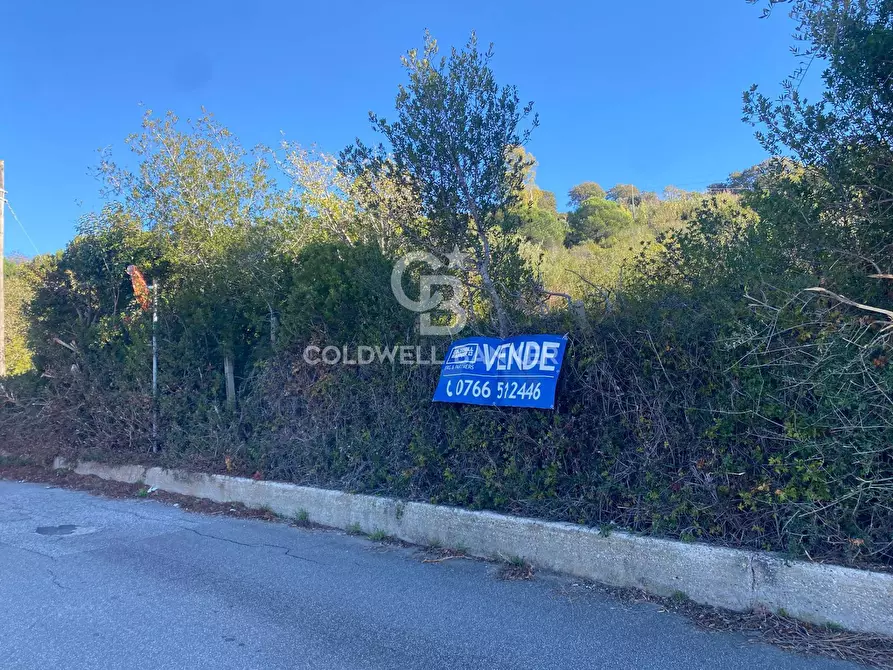 Immagine 9 di Terreno agricolo in vendita  in Via Colfiorito a Santa Marinella