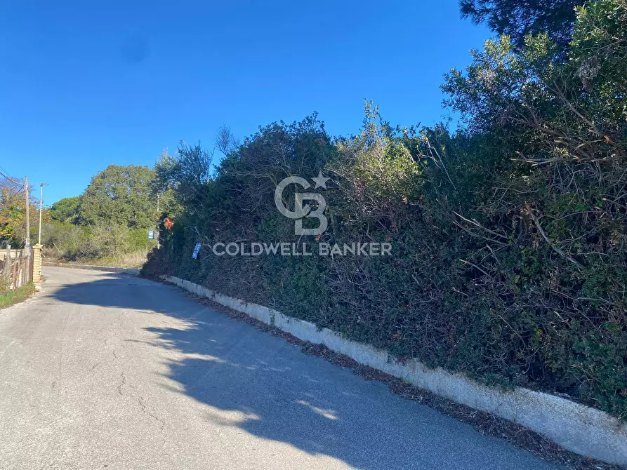 Immagine 10 di Terreno agricolo in vendita  in Via Colfiorito a Santa Marinella