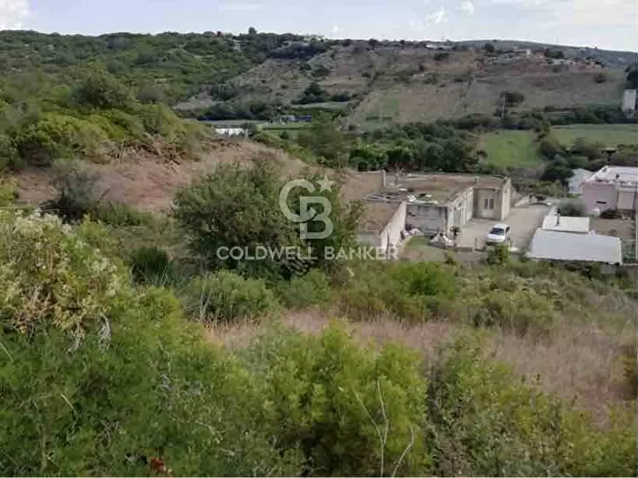 Immagine 3 di Terreno agricolo in vendita  in via Albisola a Santa Marinella