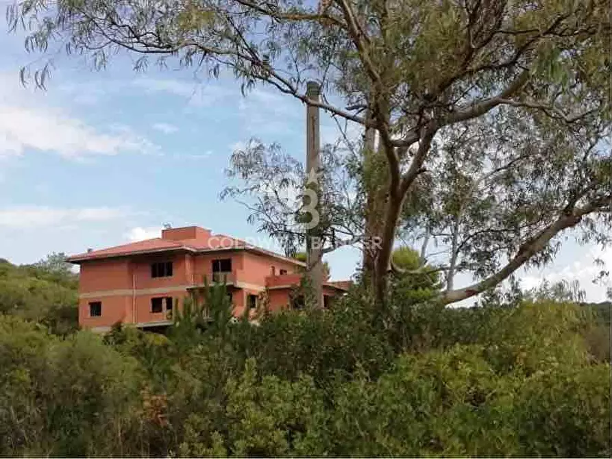 Immagine 5 di Terreno agricolo in vendita  in via Albisola a Santa Marinella