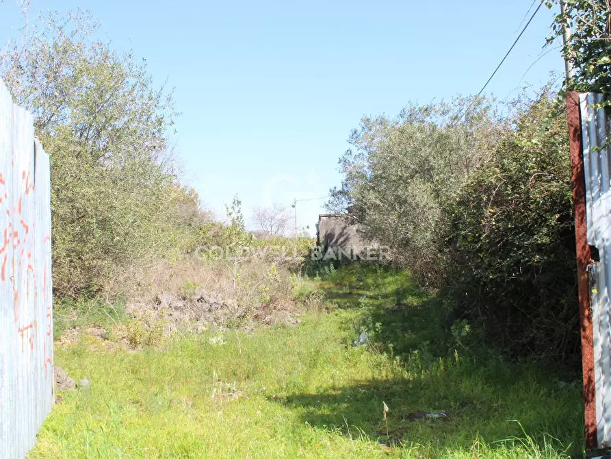 Immagine 3 di Rustico / casale in vendita  in Strada Provinciale 165 35 a Aci Sant'antonio