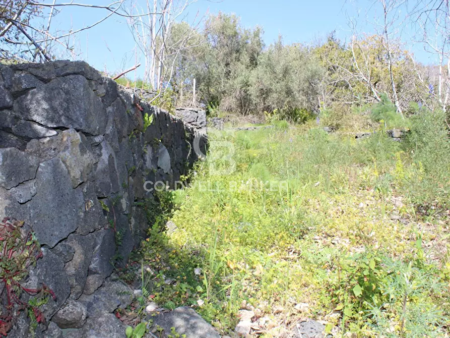 Immagine 4 di Rustico / casale in vendita  in Strada Provinciale 165 35 a Aci Sant'antonio