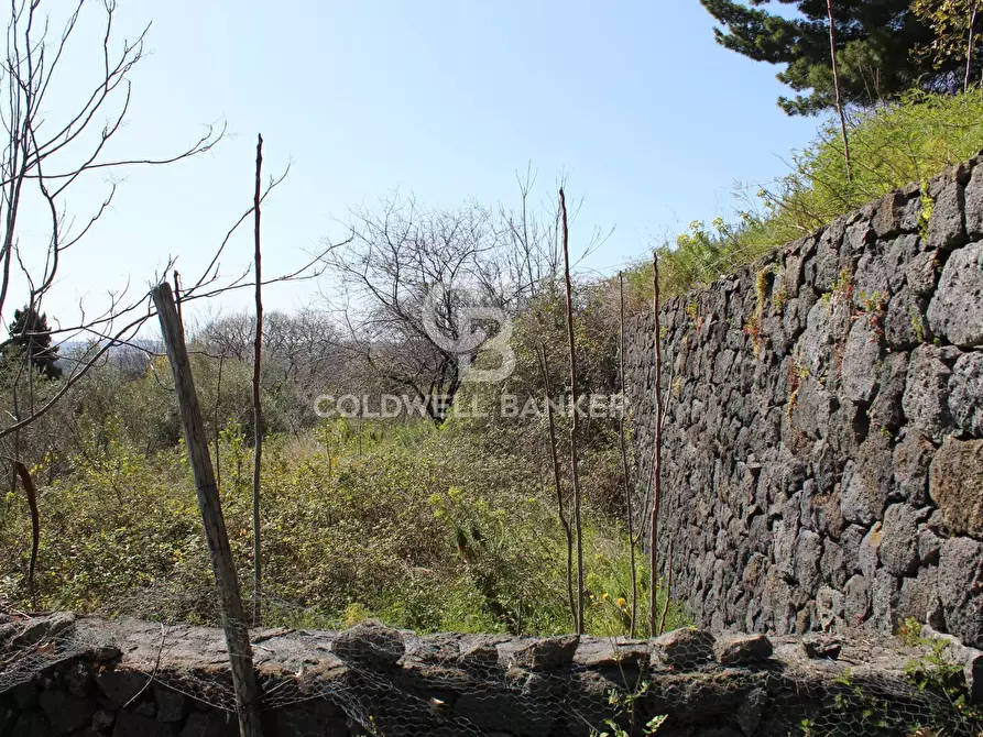 Immagine 5 di Rustico / casale in vendita  in Strada Provinciale 165 35 a Aci Sant'antonio