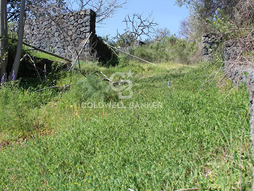 Immagine 6 di Rustico / casale in vendita  in Strada Provinciale 165 35 a Aci Sant'antonio