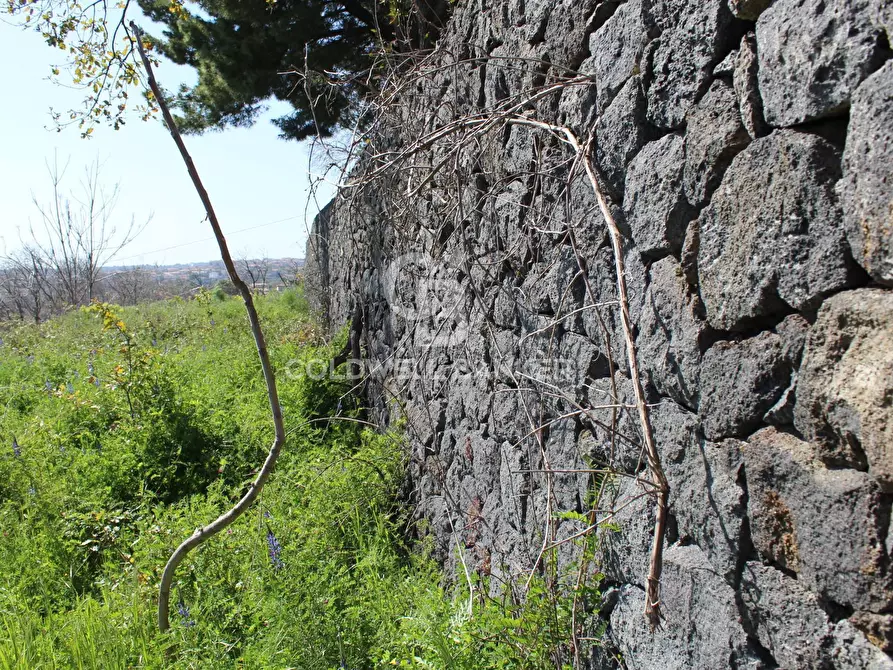 Immagine 7 di Rustico / casale in vendita  in Strada Provinciale 165 35 a Aci Sant'antonio
