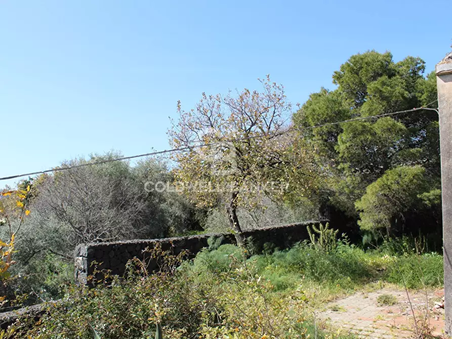 Immagine 12 di Rustico / casale in vendita  in Strada Provinciale 165 35 a Aci Sant'antonio