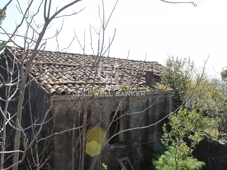 Immagine 17 di Rustico / casale in vendita  in Strada Provinciale 165 35 a Aci Sant'antonio