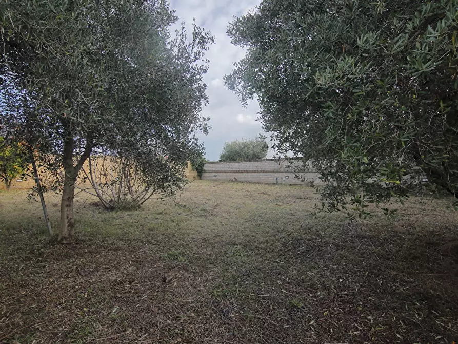 Immagine 30 di Villa in vendita  in via Montagnano 232 a Albano Laziale