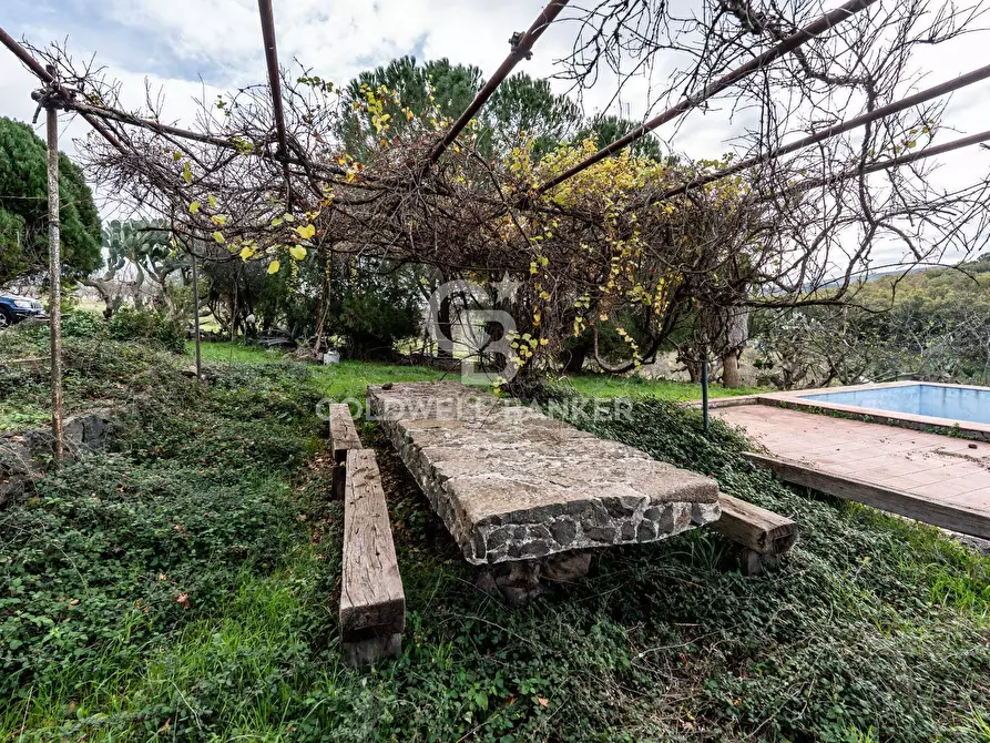 Immagine 3 di Rustico / casale in vendita  in palagonese a Francofonte