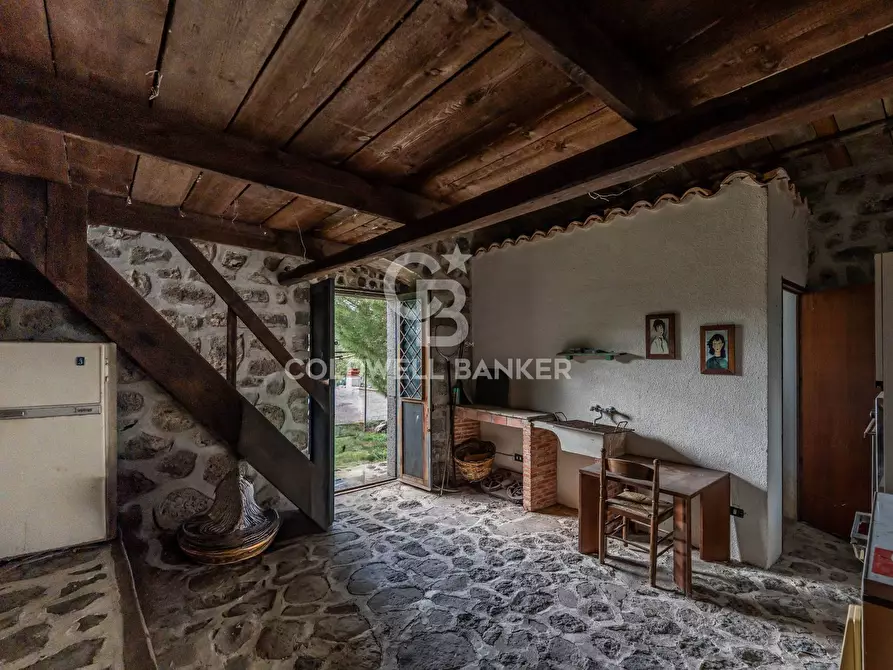 Immagine 13 di Rustico / casale in vendita  in palagonese a Francofonte