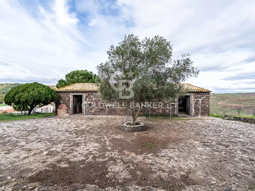 Immagine 27 di Rustico / casale in vendita  in palagonese a Francofonte