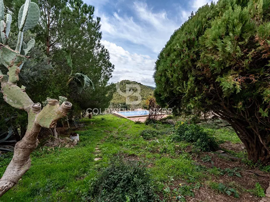 Immagine 28 di Rustico / casale in vendita  in palagonese a Francofonte