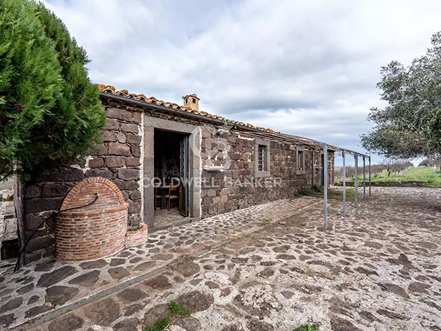 Immagine 29 di Rustico / casale in vendita  in palagonese a Francofonte