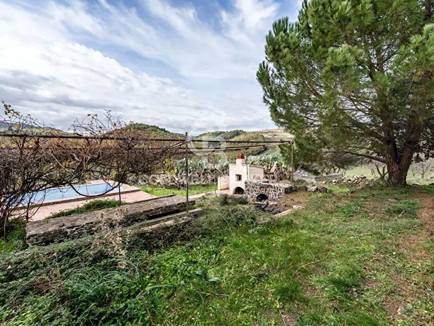 Immagine 30 di Rustico / casale in vendita  in palagonese a Francofonte