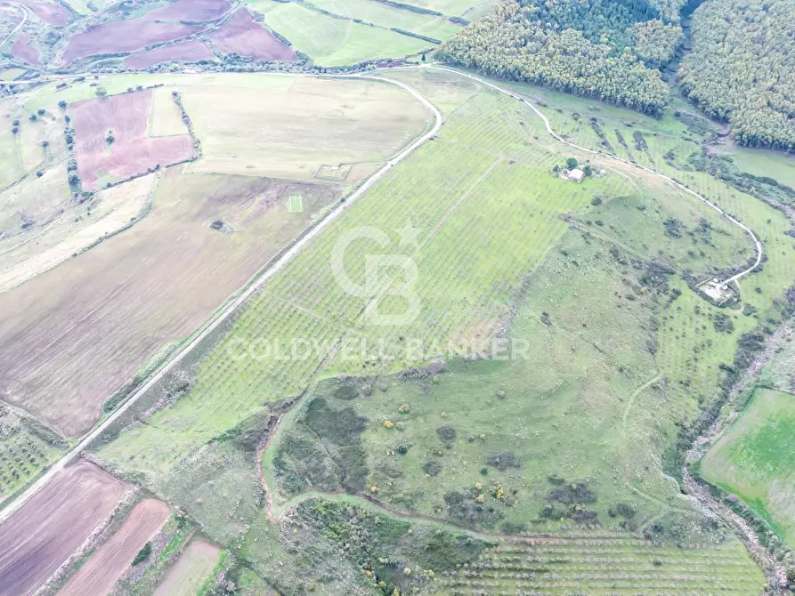 Immagine 31 di Rustico / casale in vendita  in palagonese a Francofonte